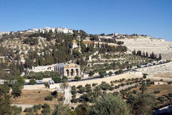 gerusalemme, panoramica del monte degli ulivi da cui si può ammirare la chiesa del getsemani
